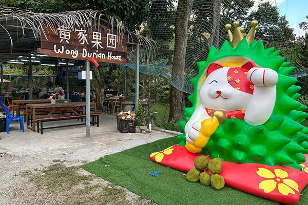 Wong Durian House 黄家果园