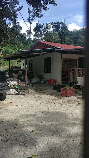 Low Durian Farm 刘莲山