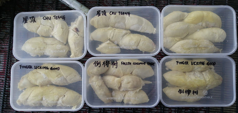 Uncle Soon durian orchard