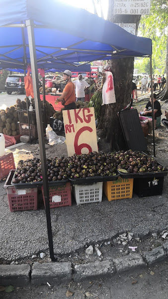Durian Simpang Sri Muda