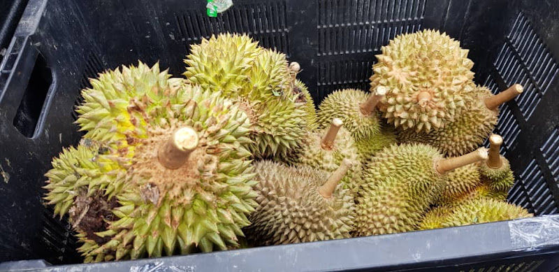 DURIAN HSY FRESH MARKET