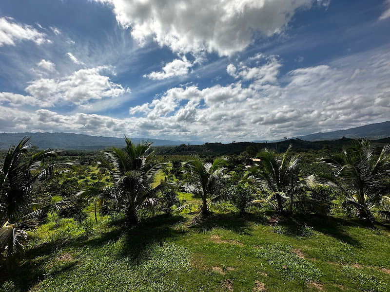 Tenom Tropical Fruits Farm