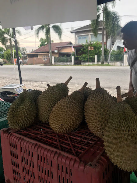 Durian MURAH Pak Jamal