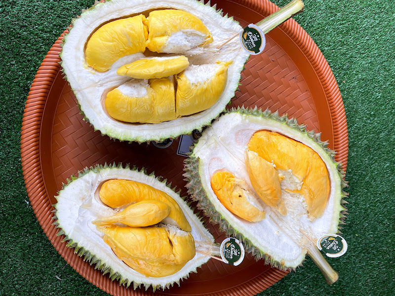 YB DURIAN BALIK PULAU