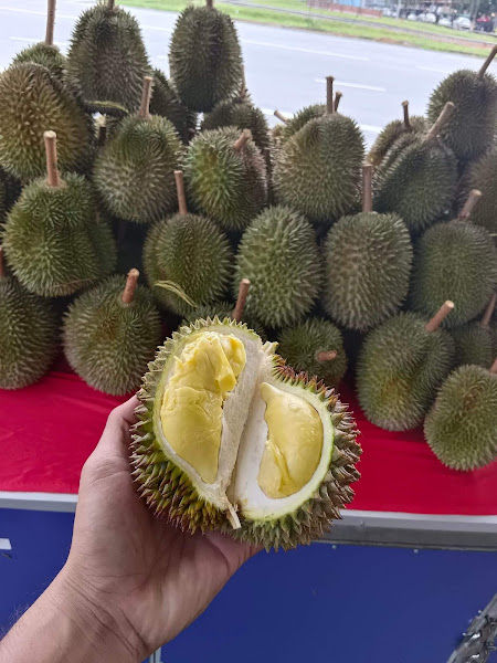 Durian Haji 996