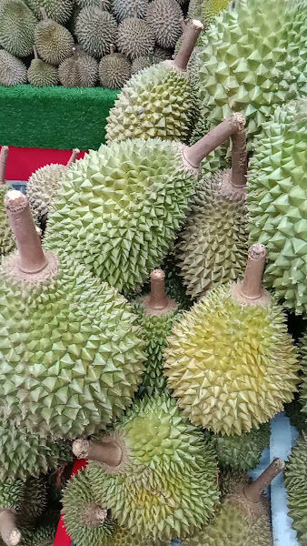CSY DURIAN HAPPY