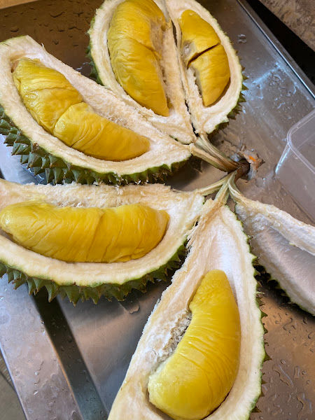 Jung Shan Garden Fruits Trading