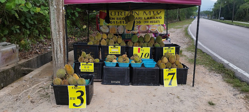 Durian Mw taman putri kulai johor