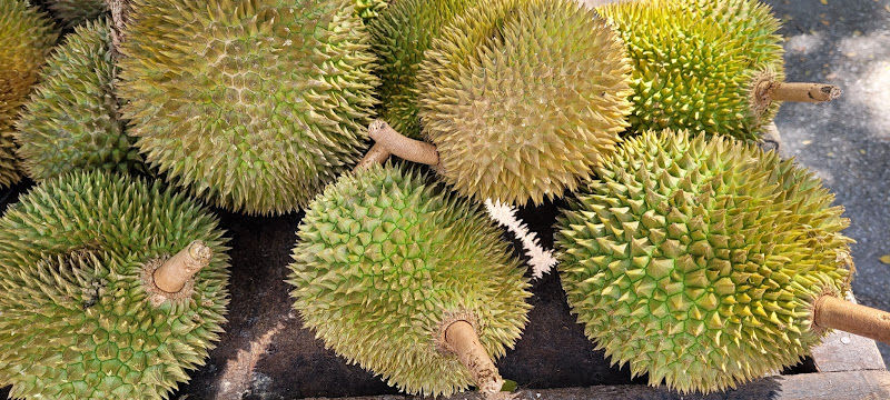 Chan Kai Loong Durian Stall
