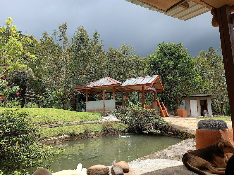 Purak Mato Hill Farmstay