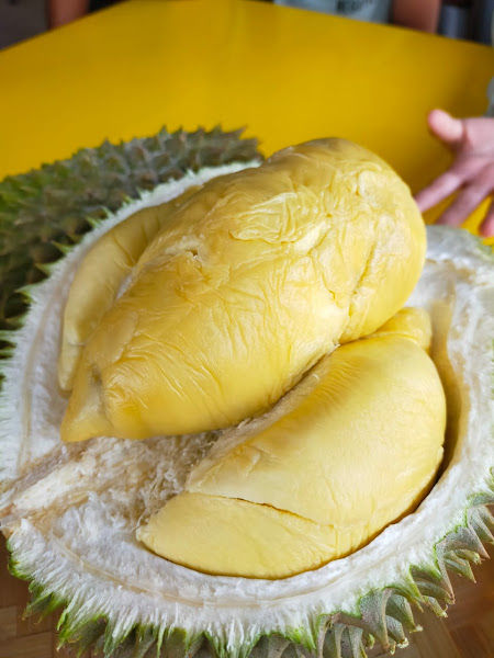 IQMAL DURIAN RAUB