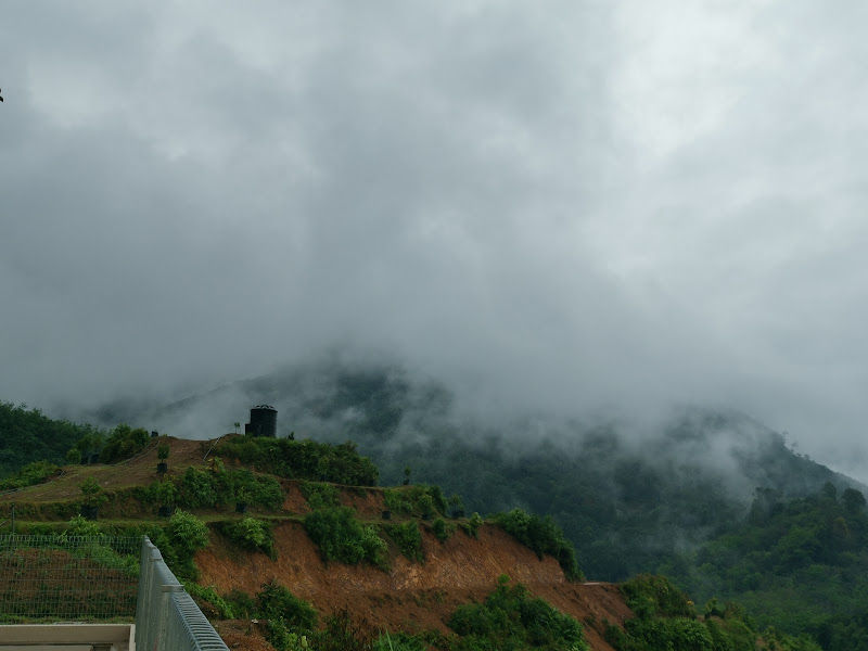 KK Lau Durian Farm (Karak)
