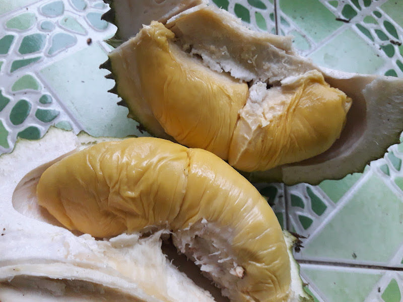 DURIAN DELIMA