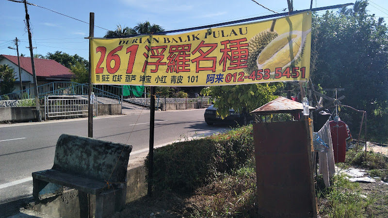 261 DURIAN BALIK PULAU
