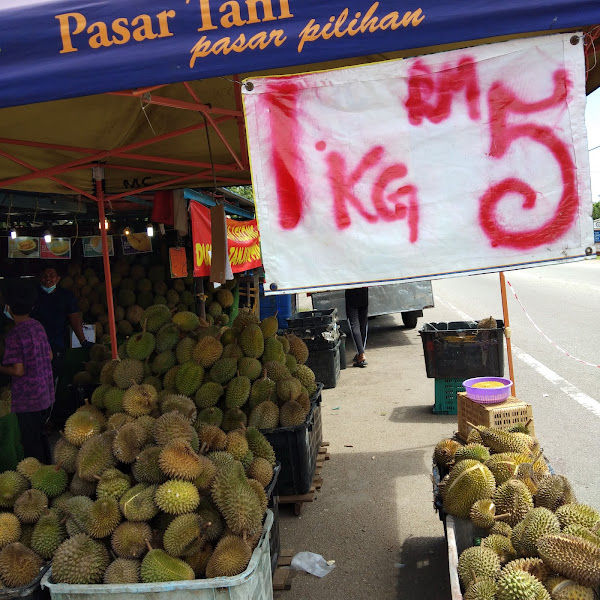 DURIAN SEDAP MURAH DEPAN C'CHOMEL PET SHOP