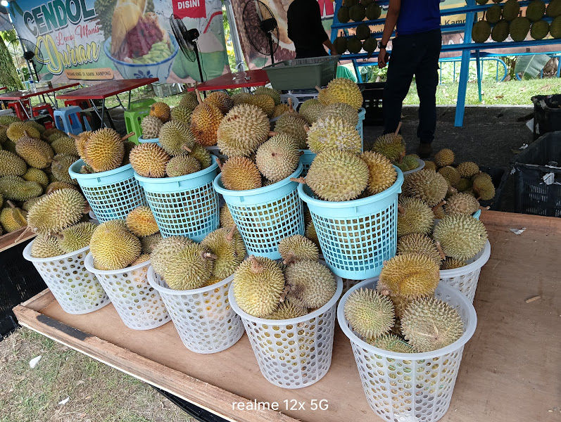 ADAM DURIAN MUSANG KING SENTUL