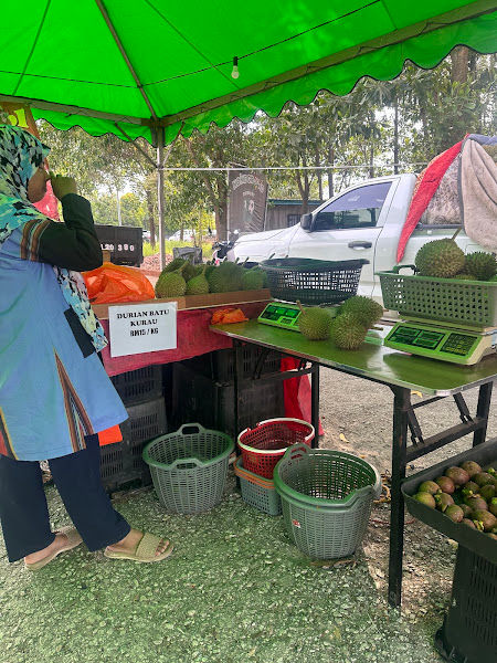 Durian Batu Kurau