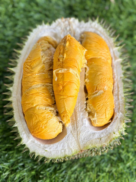 SMS Family Venture Durian Orchard - Ipoh