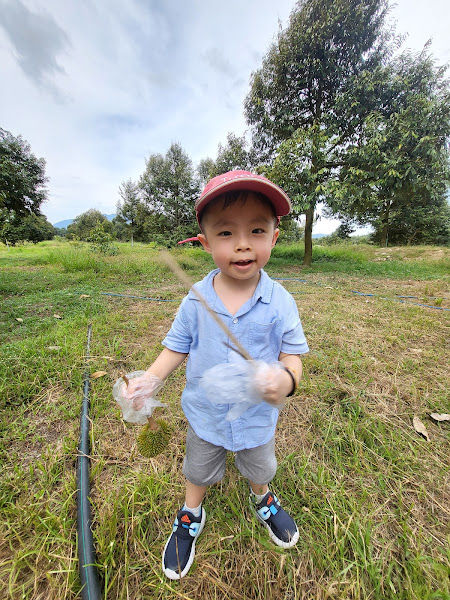 Ah Yang Durian park