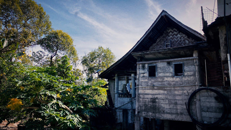 DURIAN KUNYIT ORIGIN