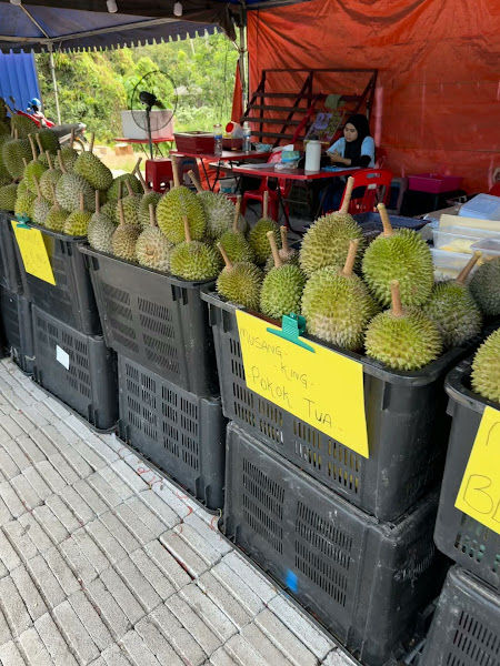 Max Durian Tangkak