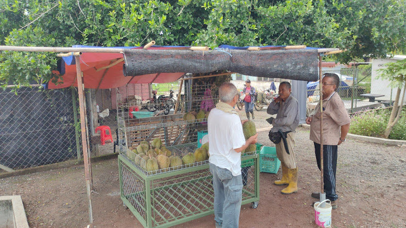 Hai Durian Kampung China