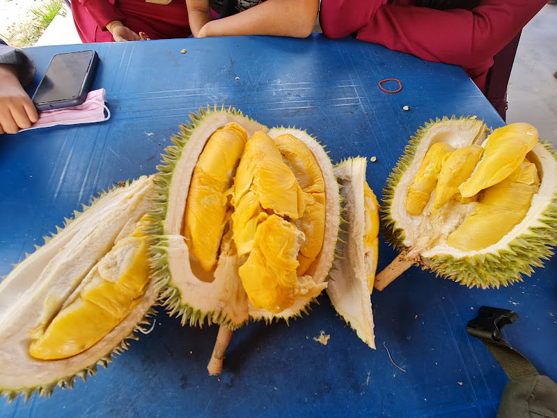 Desmond Durian