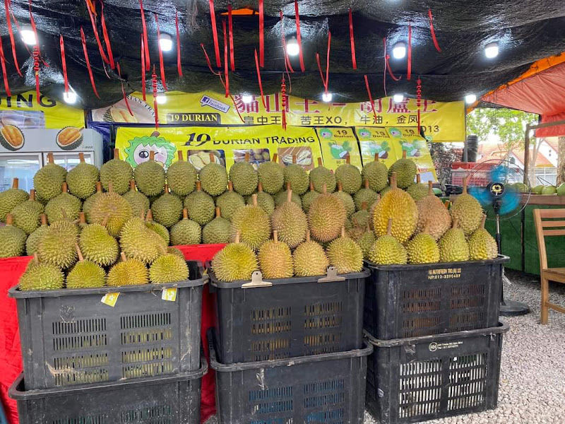 19 Durian Trading