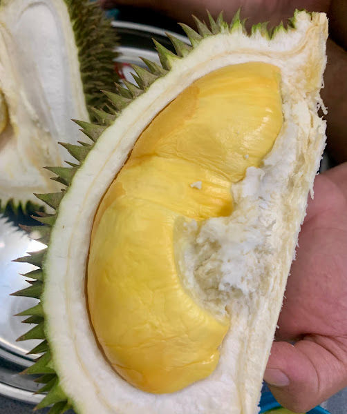 DURIAN TOK AYAH
