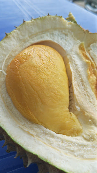 Durian Stall Alor Setar 218