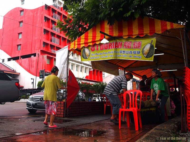 81Durian