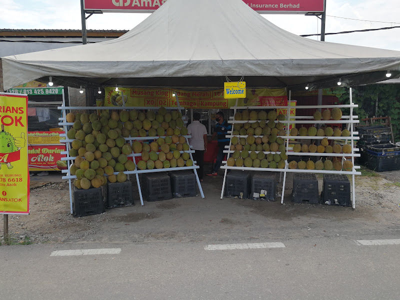 Durians Atok - Jalan Kebun