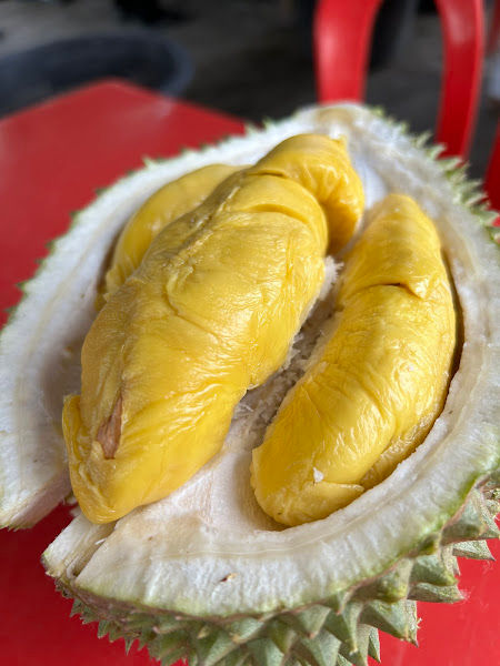 Yap Musang King