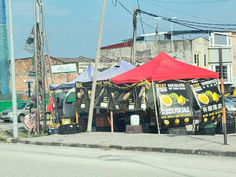 Brother One Musang King Durian Supply