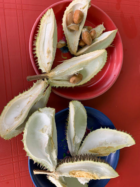 PULUT DURIAN ANOK LEK