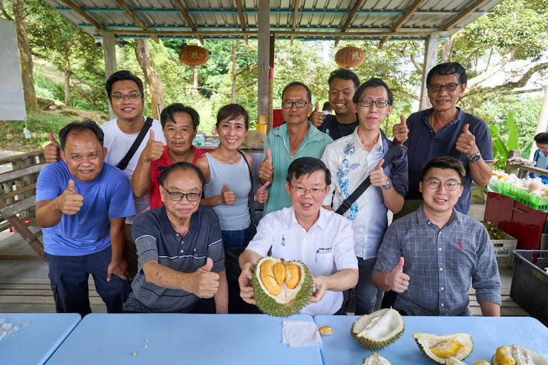 218浮罗山背榴莲园218Dusun Durian balik pulau