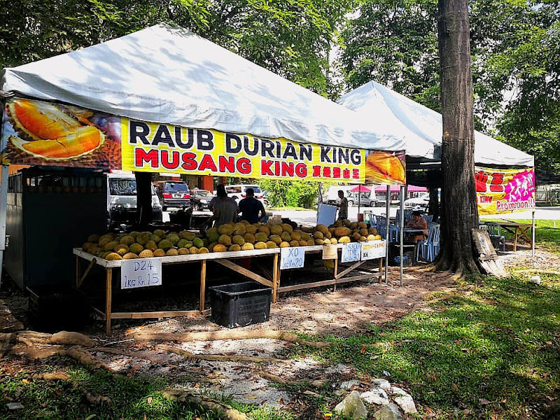 Raub Musang King