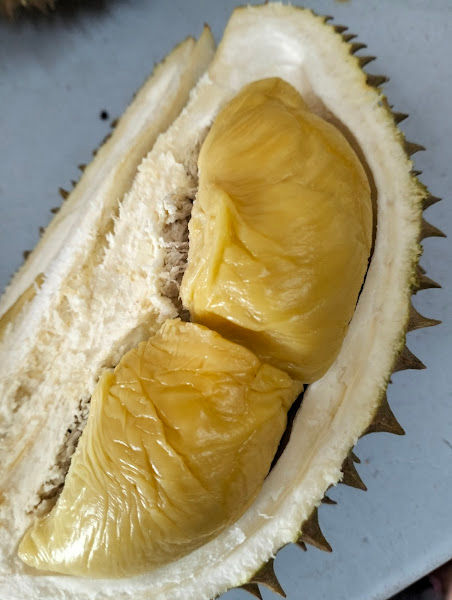 Durian Thing station