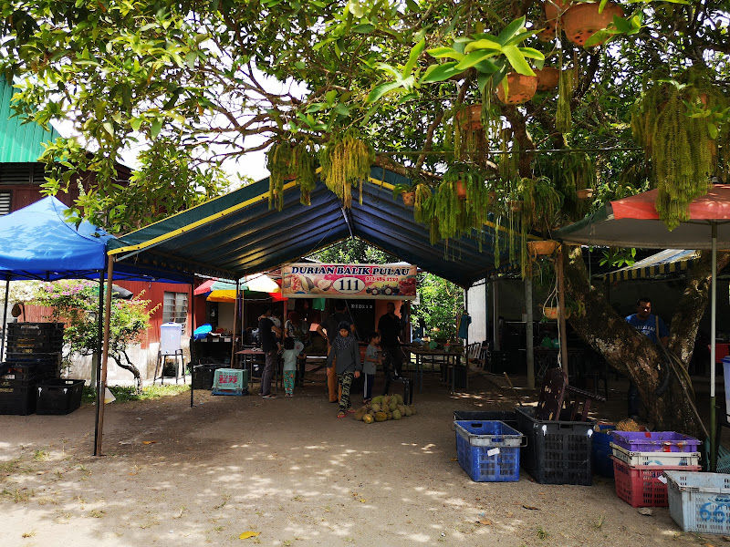111 Durian Balik Pulau