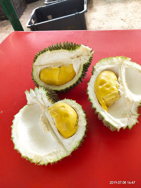 Durian stall