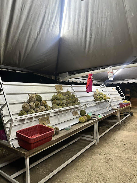 Melaka Aiman Durian (Bukit Lintang)