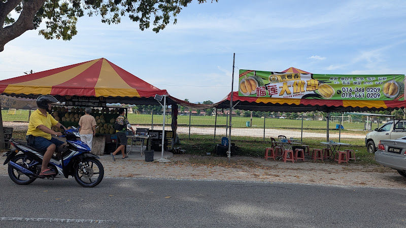 齒榴香 - 榴莲档