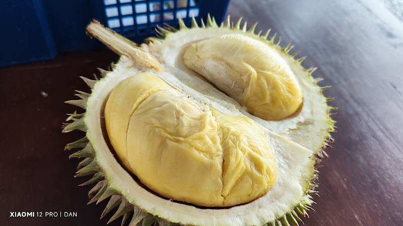 Yes Lah Durian Buffet
