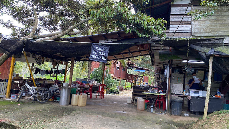 Raub Durian Orchard