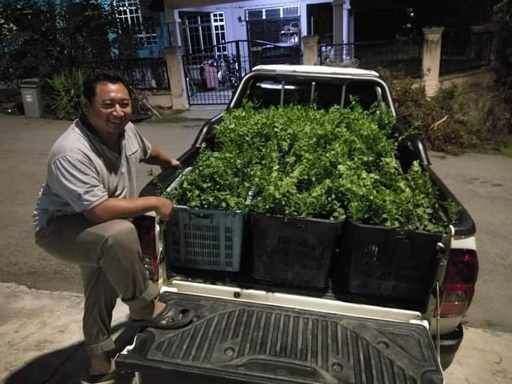 Zakri Nursery Bidara