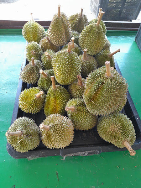 Ijat's Durian & Fruits Pekan Permas