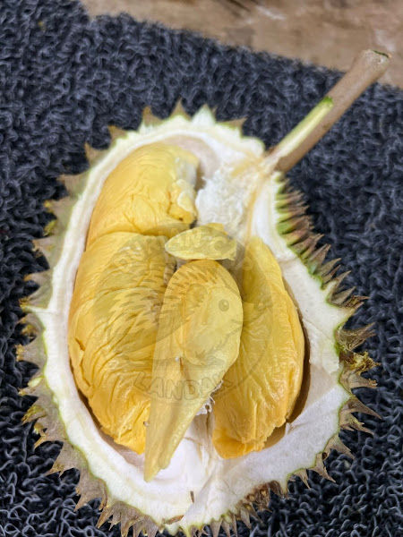 Durian Cap Landak
