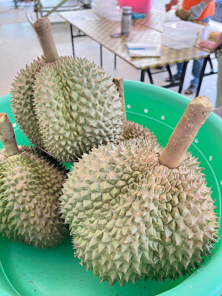 Zhong Cheng Durian Farm