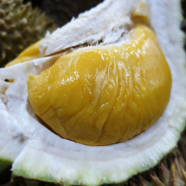 Sin Durian