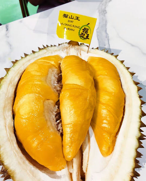 BLACK THORN DURIAN KINGDOM SDN BHD （榴之王） 仙本那榴莲